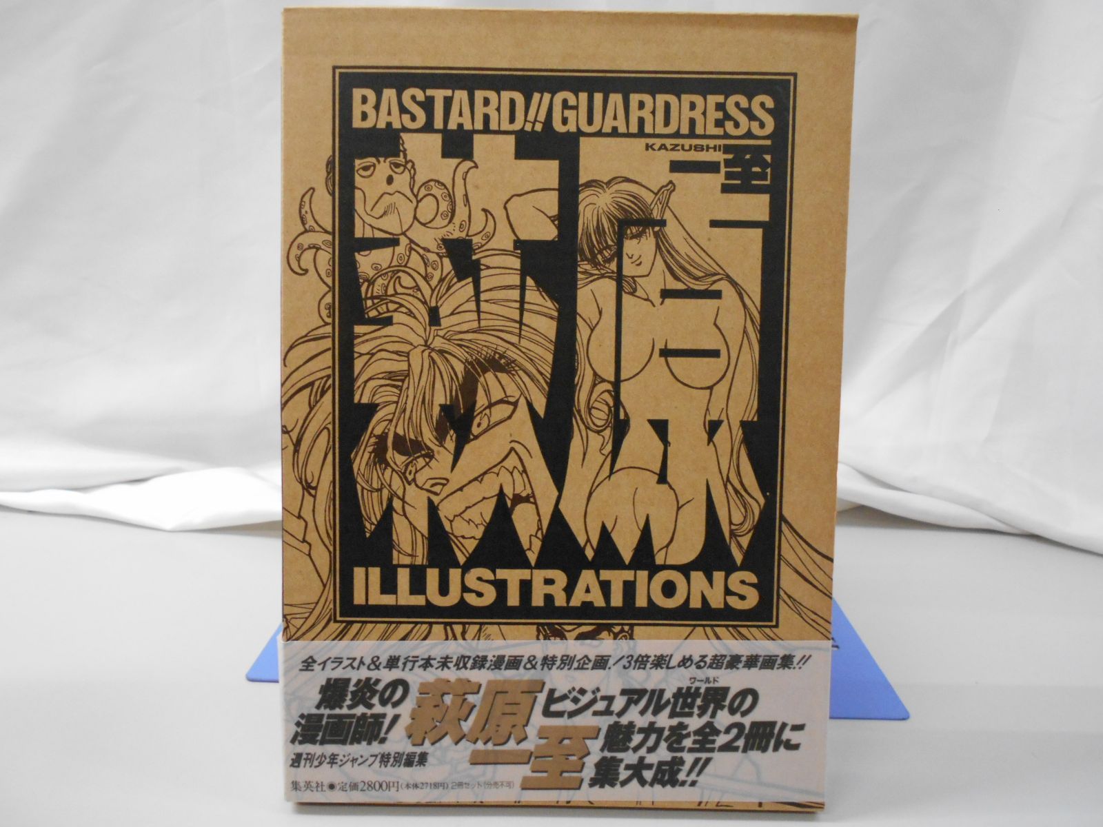 BASTARD!!GUARDRESS 萩原一至 ILLUSTRATIONS 集英社 - メルカリ