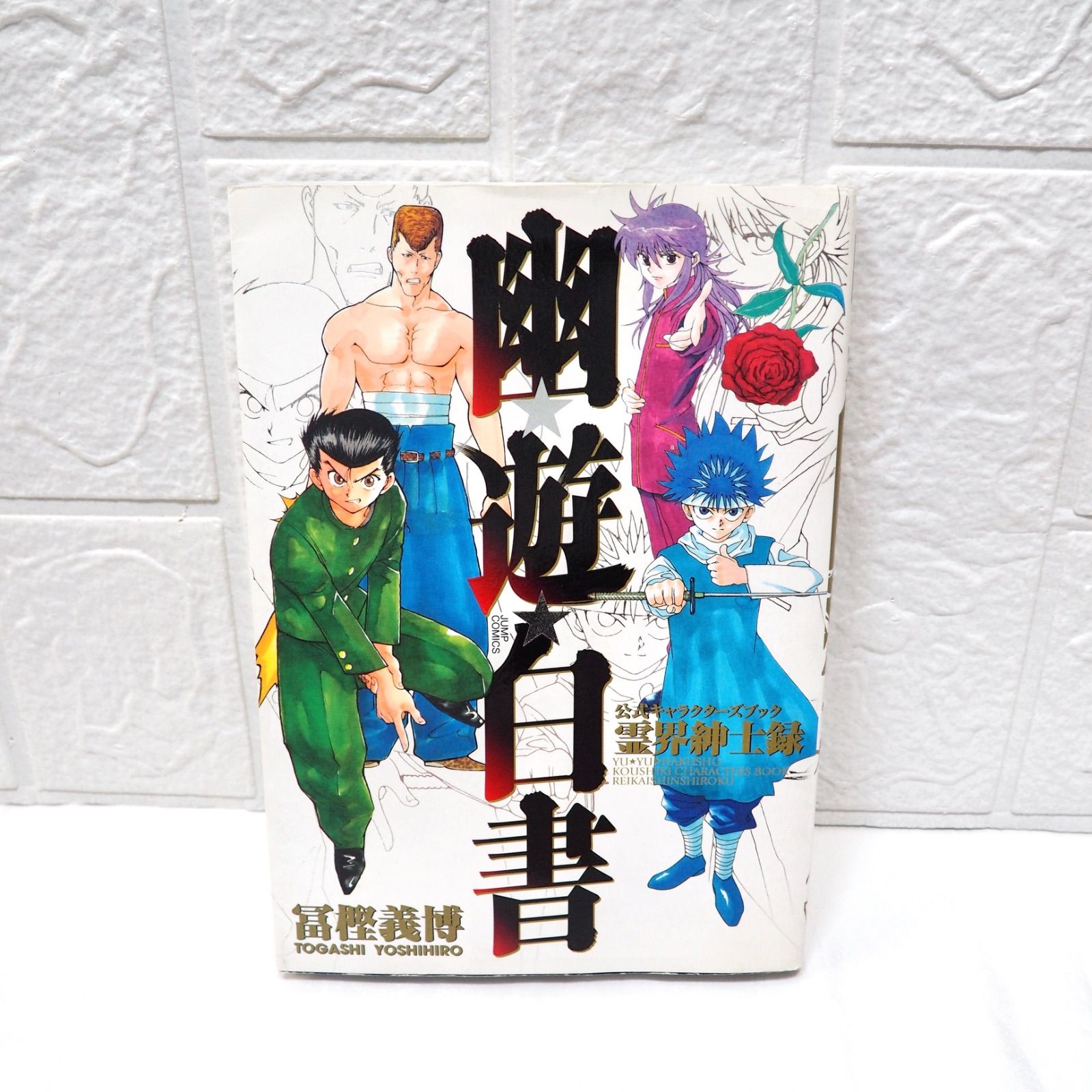 幽遊白書 完全版 全15巻セット+キャラクターブック 幽・遊・白書 : 完全