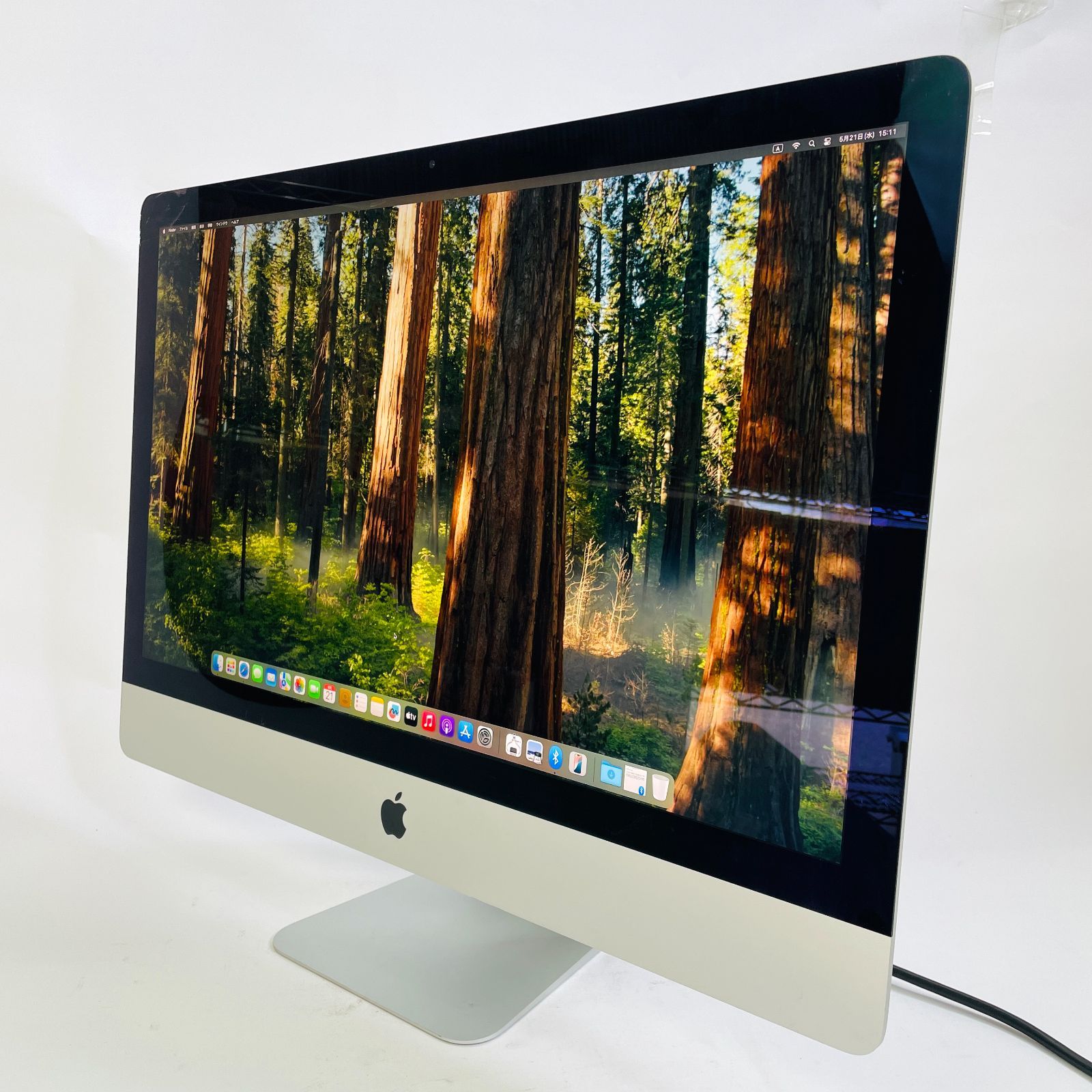 Retina