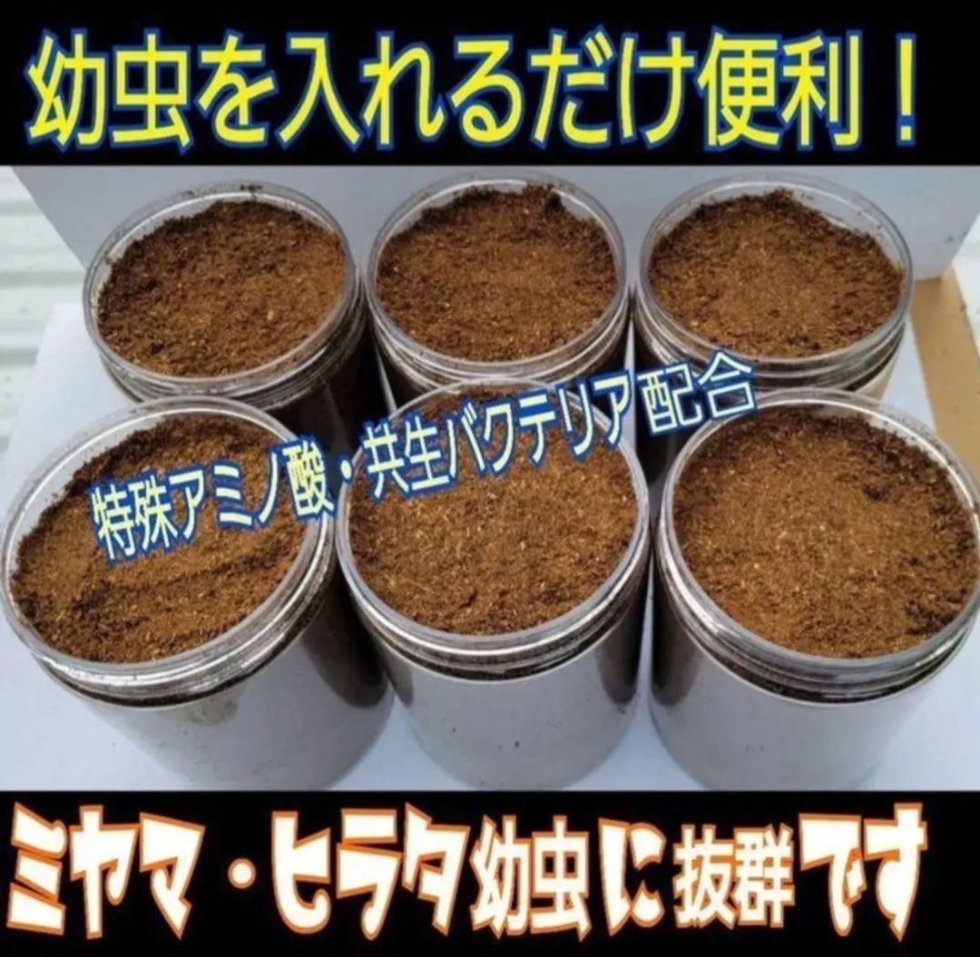 10本セット
