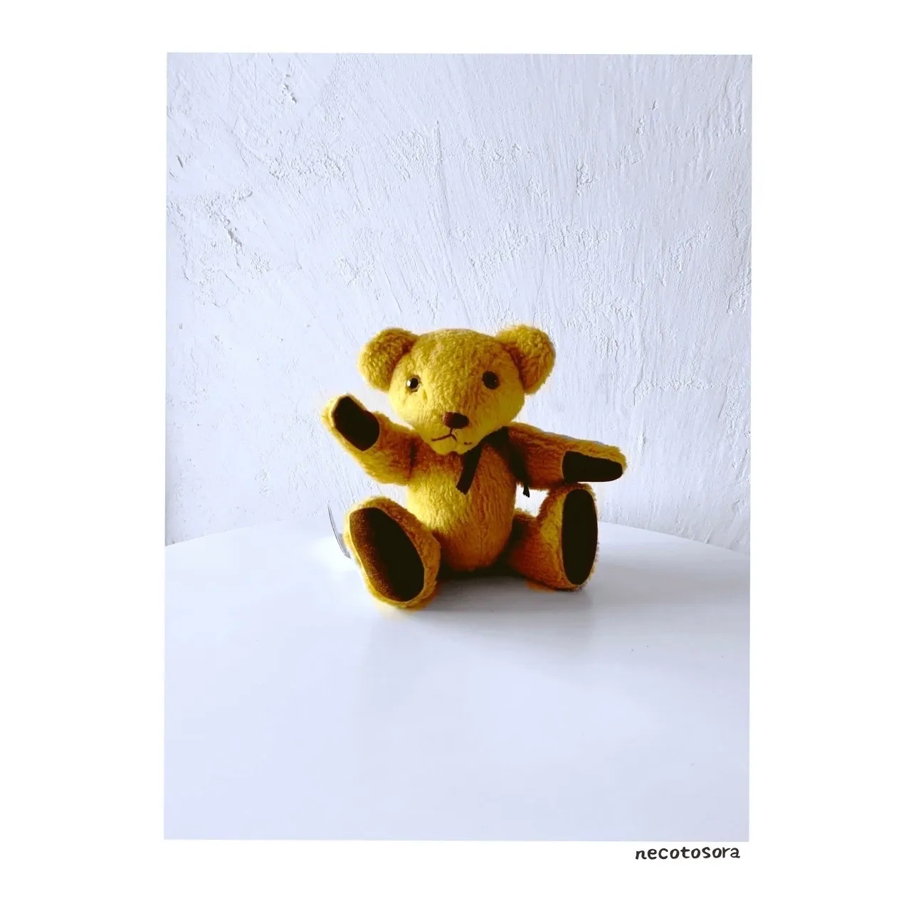 テディベア　ASHIYA KUMAYA Amazon.co.jp: Ashiya KUMAYA DIABLE De NUBLE Teddy Bear