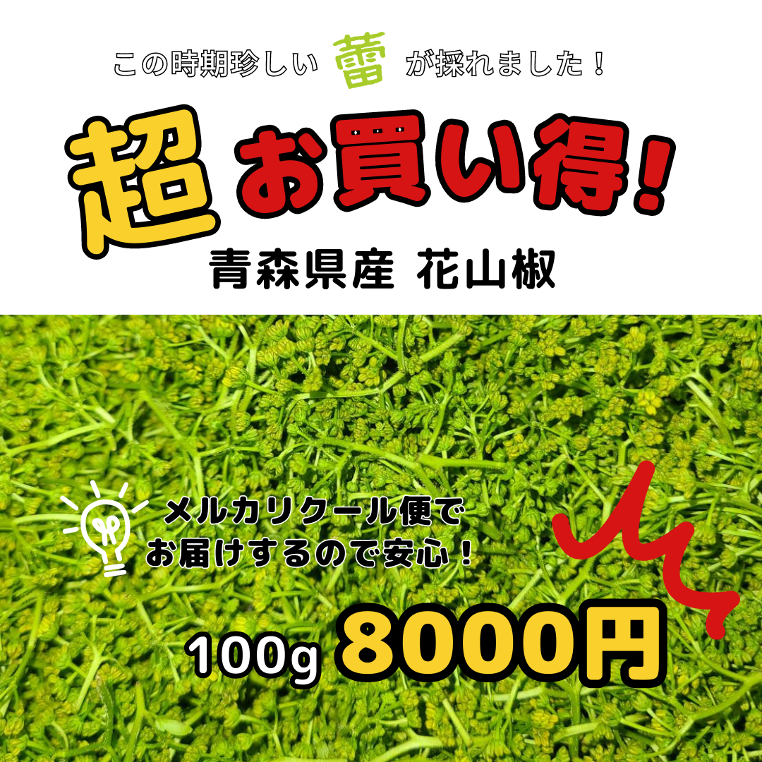 マルチボーダーシリーズ この時期珍しい！青森産 花山椒（蕾）100g