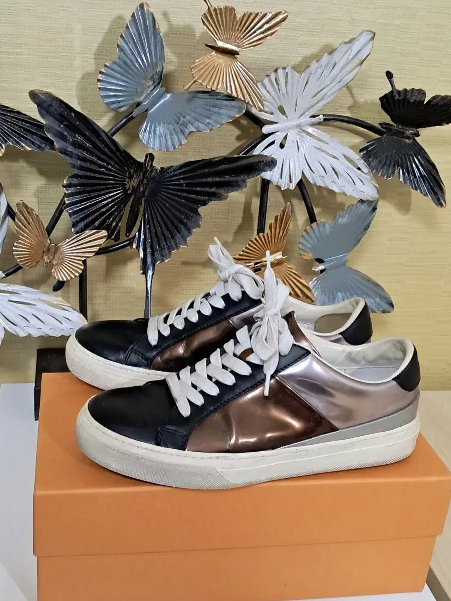 TOD S トッズ ネロ ブロンズ スニーカー- 230