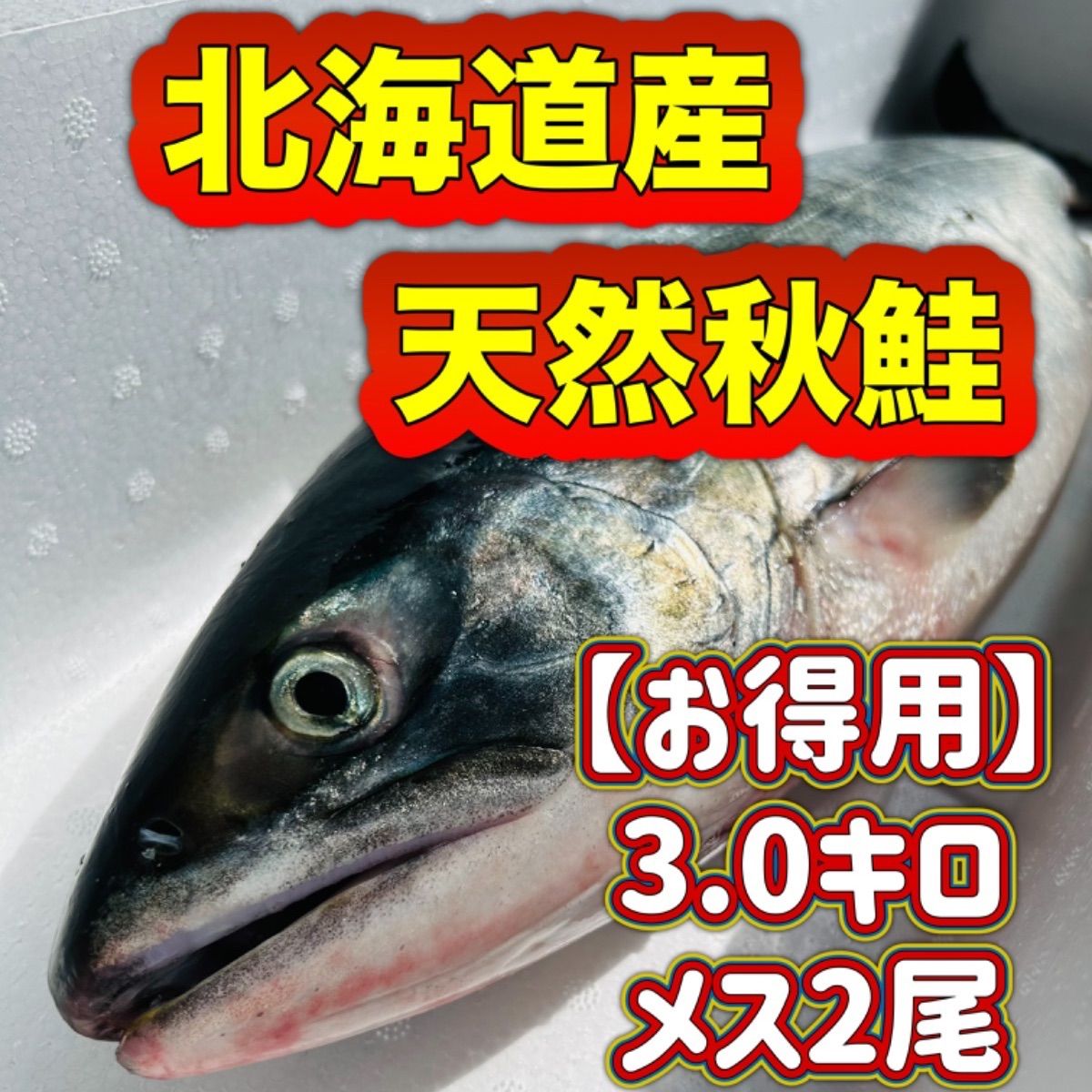 お買い得】北海道産 天然秋鮭メス2本セット（生筋子入り） 3.0kg ※セット売りの場合、頭除去で発送します。鮭 さけ サケ 生筋子 鮮魚  いくら醤油漬け ホタテ - メルカリ