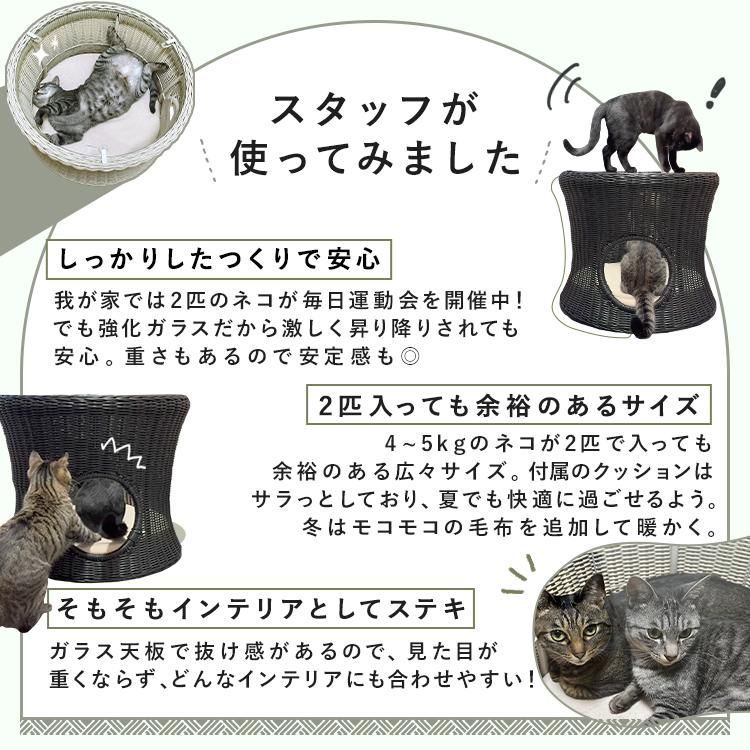 公式 ペットベッド テーブル 犬 猫 ペットハウス ローテーブル おしゃれ シンプル 完成品 ネコ ペット ペットハウス-テーブル 丸型 大