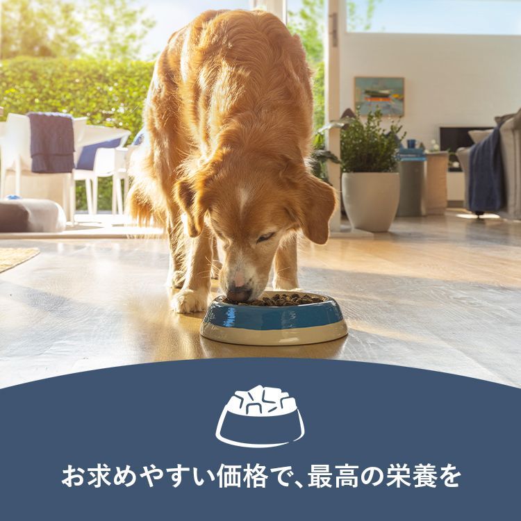 ジウィピーク