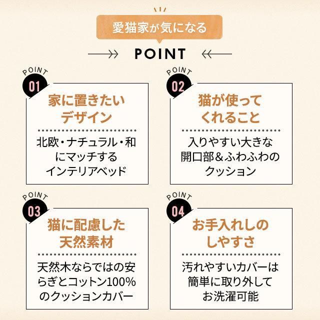 コットン