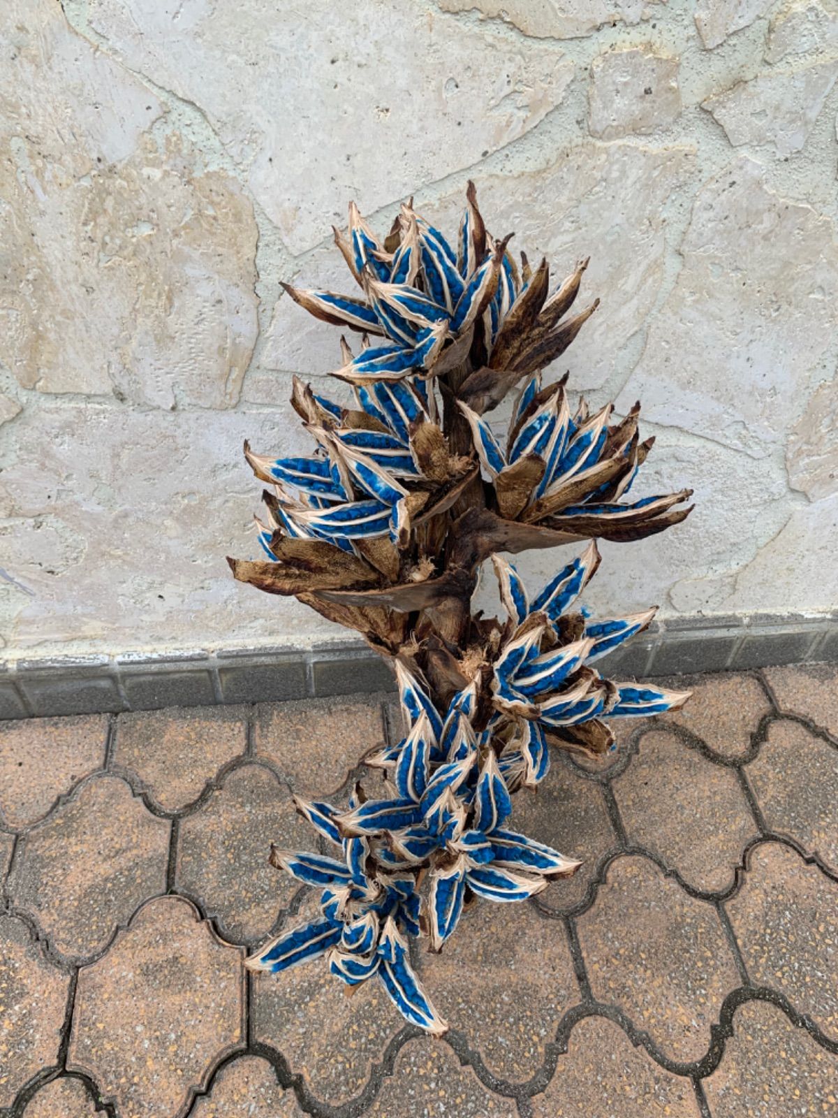 【送料込】旅人の木11節　⑤ 旅人の木 | STORES