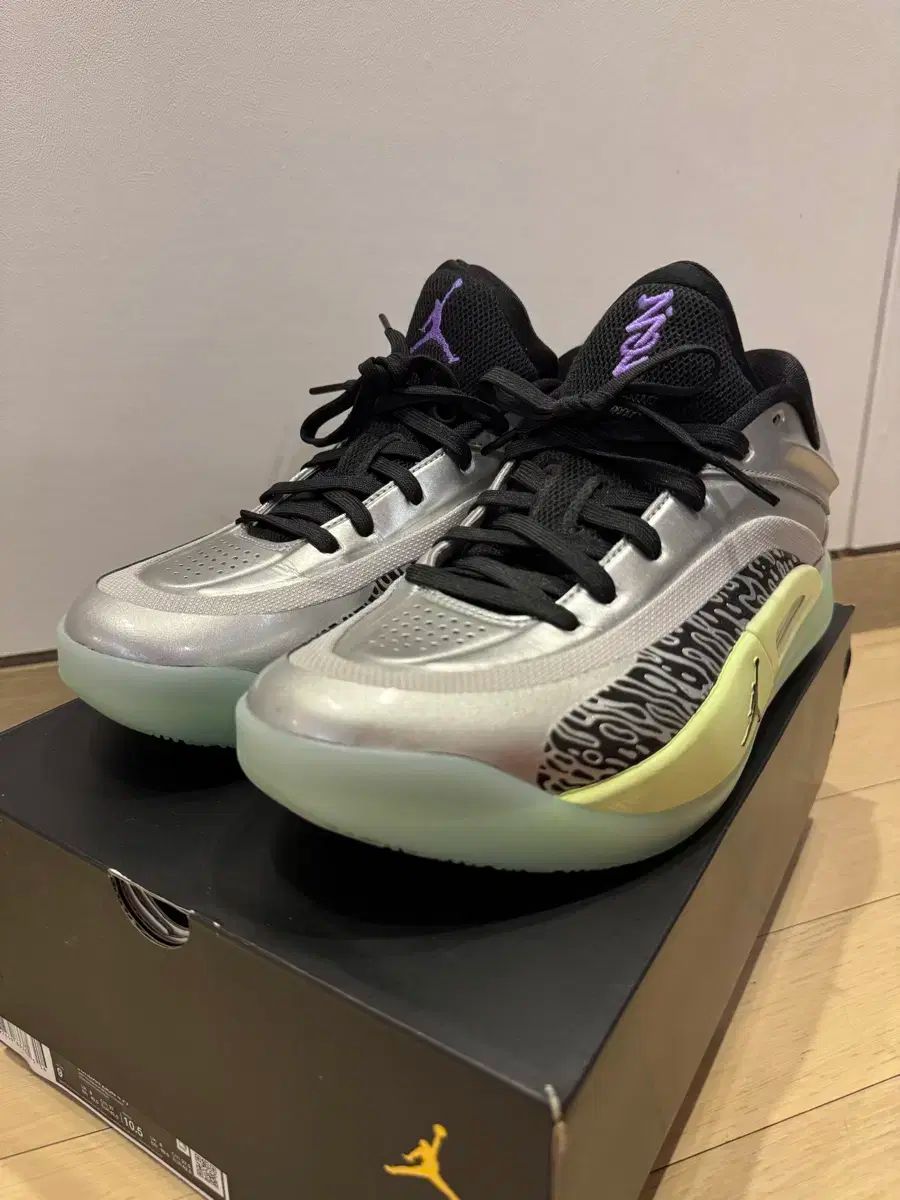 NIKE ナイキ ジョーダン ザイオン 4 270