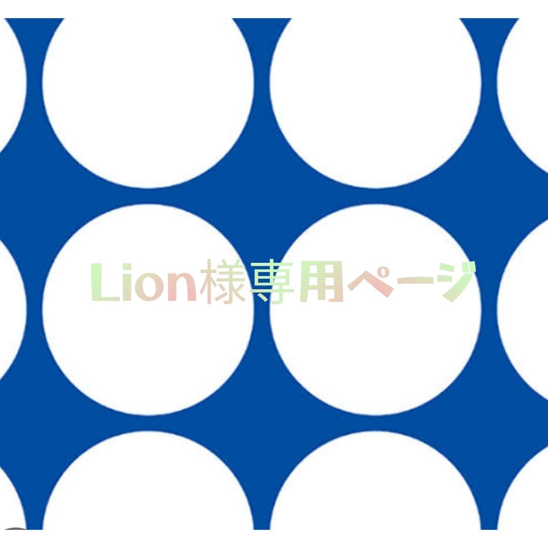 Lion様専用ページ - メルカリ