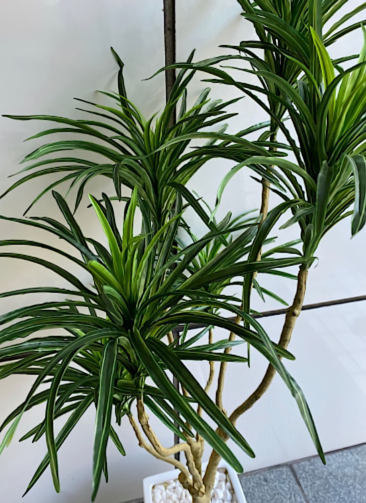 人工観葉植物