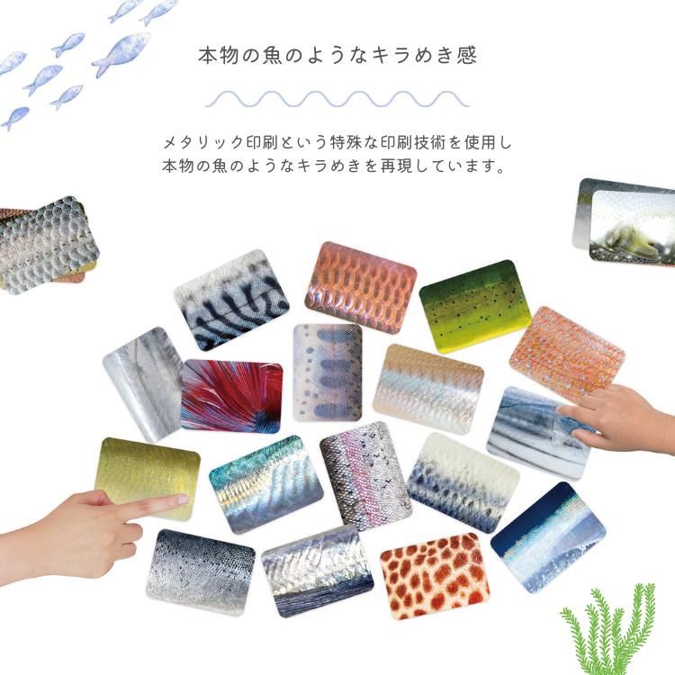 通常版 淡水魚版