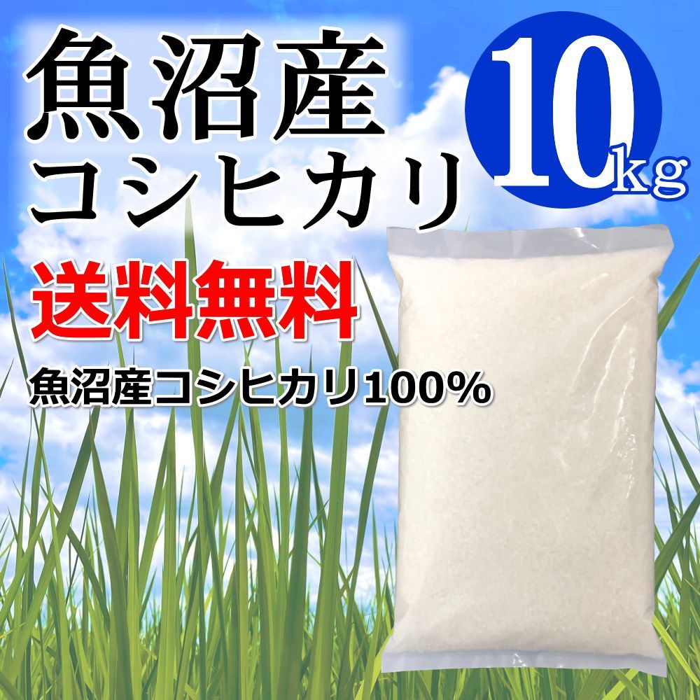 2021人気の 魚沼産 コシヒカリ 白米 10キロ（5キロ×2） 新潟県魚沼産 こしひかり 7378円 食品 