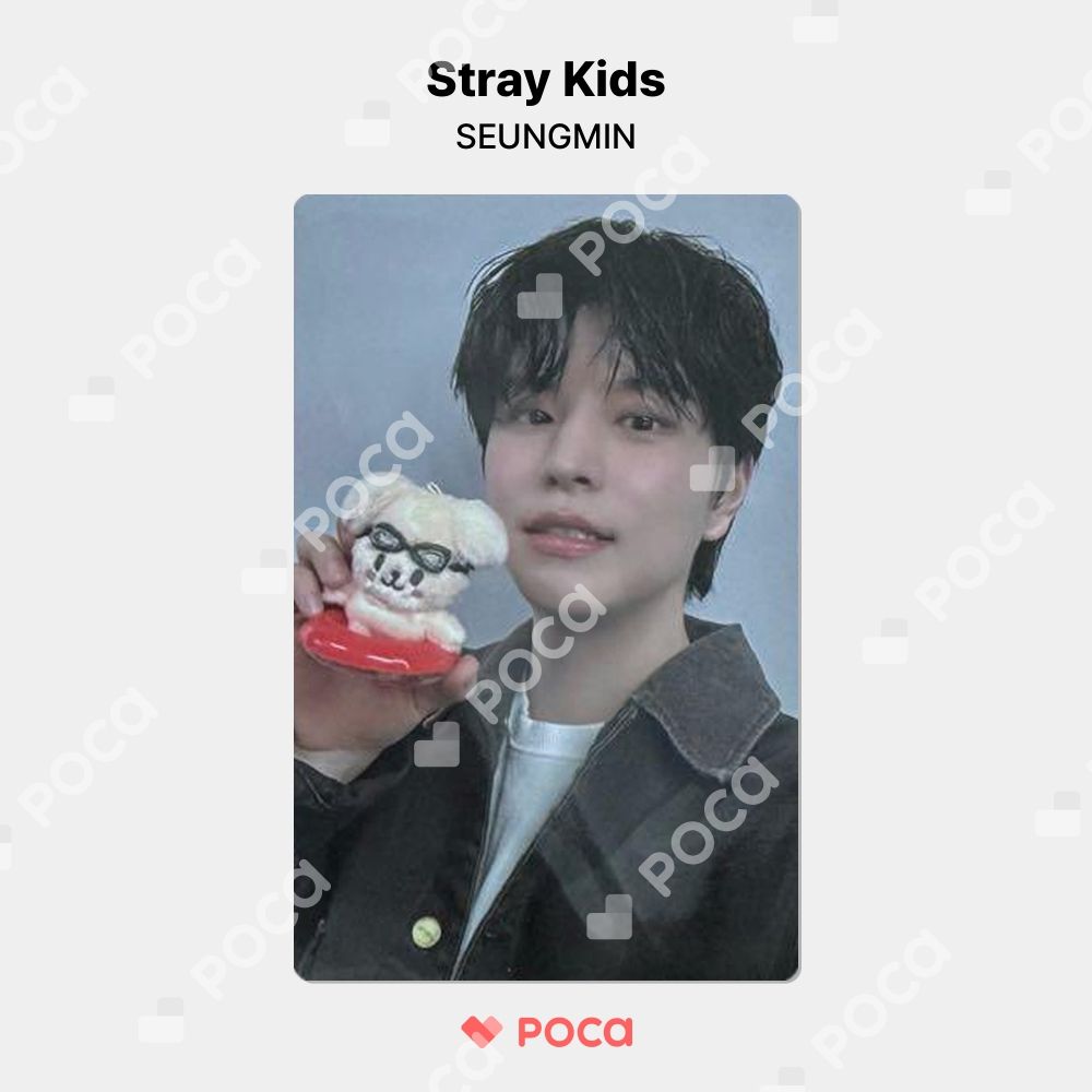 straykids スンミン スキズ トレカ Stray Kids x SKZOO POP-UP