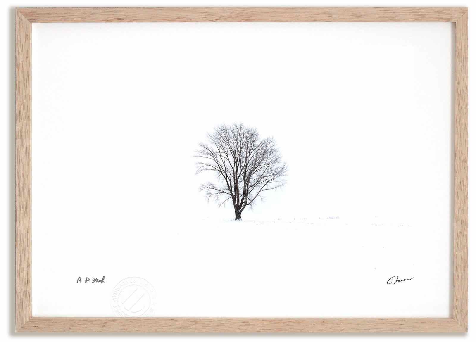 アートフォト 絵画 哲学の木5 高橋真澄|インテリア 額入り 額装込 風景画 油絵 ポスター アート アートパネル リビング 玄関 プレゼント モダン アートフレーム 飾る Mサイズ おしゃれ 壁掛け 絵