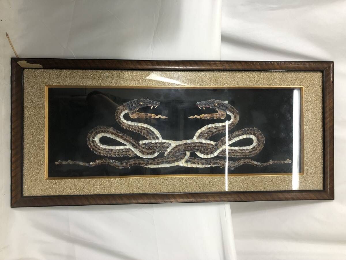 工芸品 二匹のハブ? 貝細工アート? 額装インテリア 和風 レトロ 壁掛け
