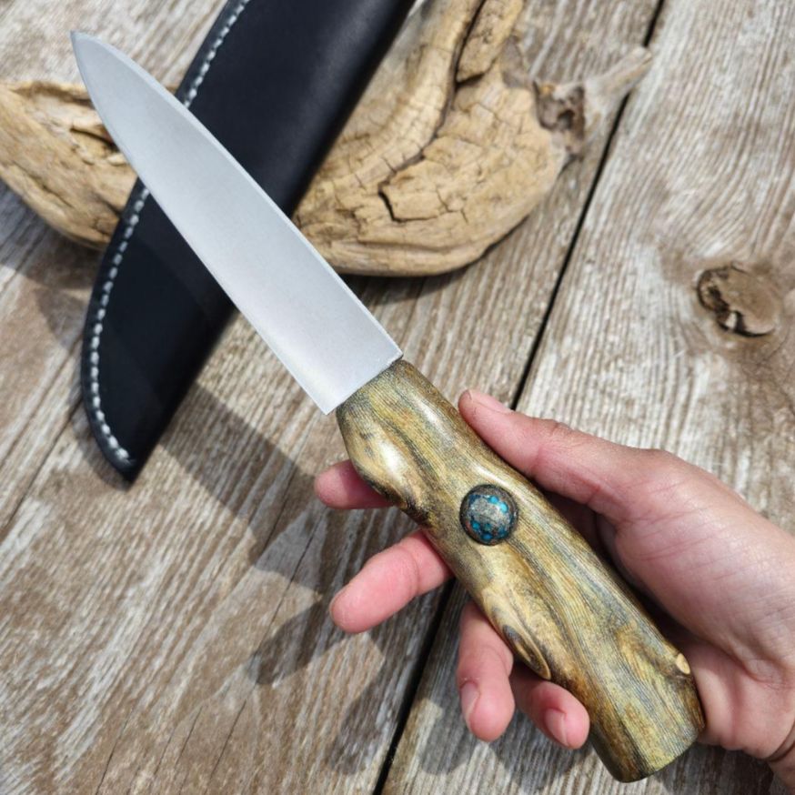 虹彩珊瑚のマキリ ペルシアンターコイズ