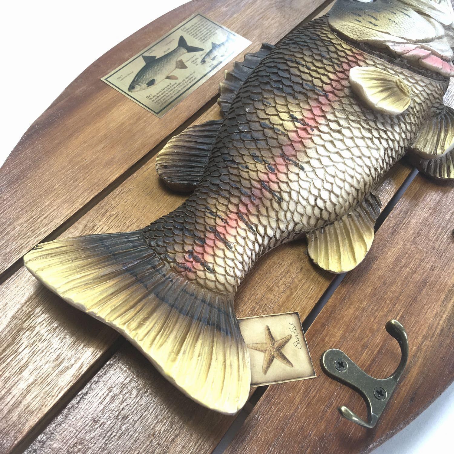 ブラックバス 壁掛け (40cm×24cm) レプリカ 模型 フィギュア 