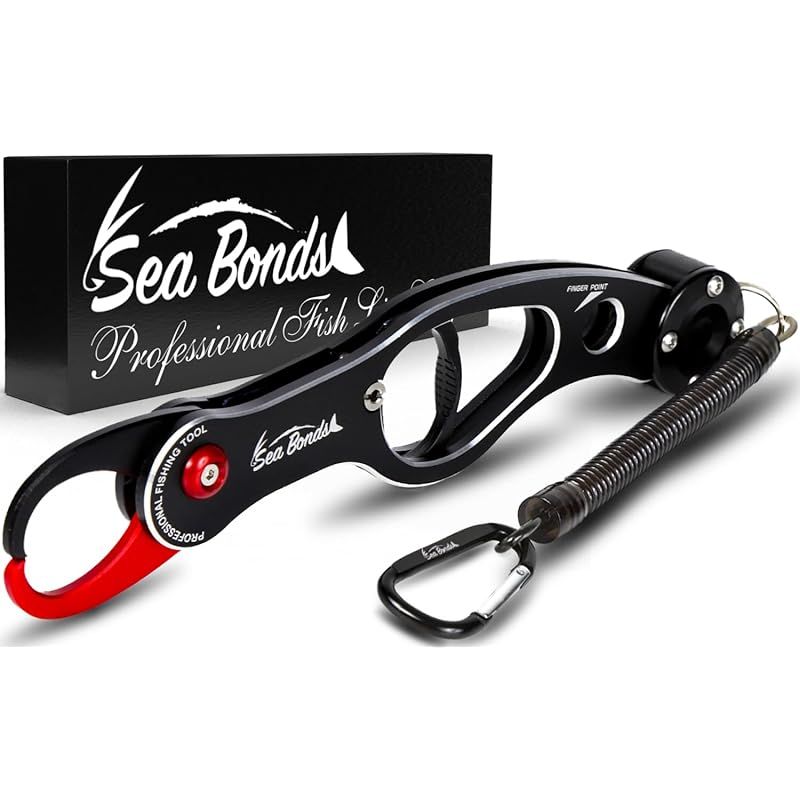 B19-001SR+ ファイアーエムブレム0 サイファ　エーデルガルト　SR+ B19-001SR: Edelgard - Cipher Compendium