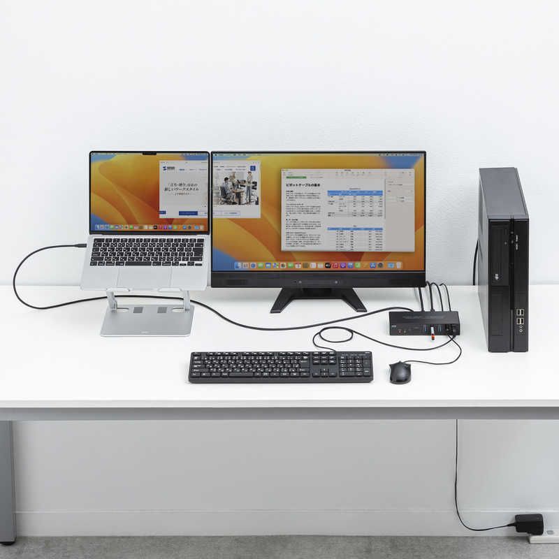 エミュレーション非搭載 SW-KVM2DK