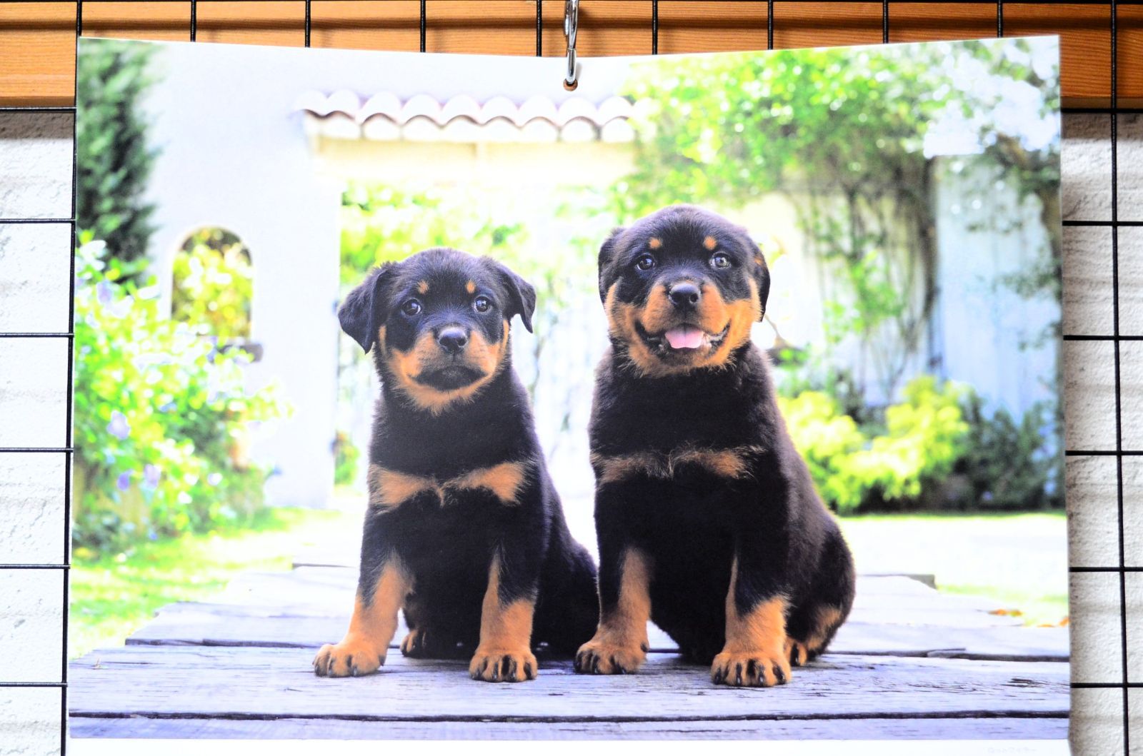 I21[6910D]8☆美品☆ ニコン Nikon PC-NIKKOR 35mm F2.8 - メルカリ