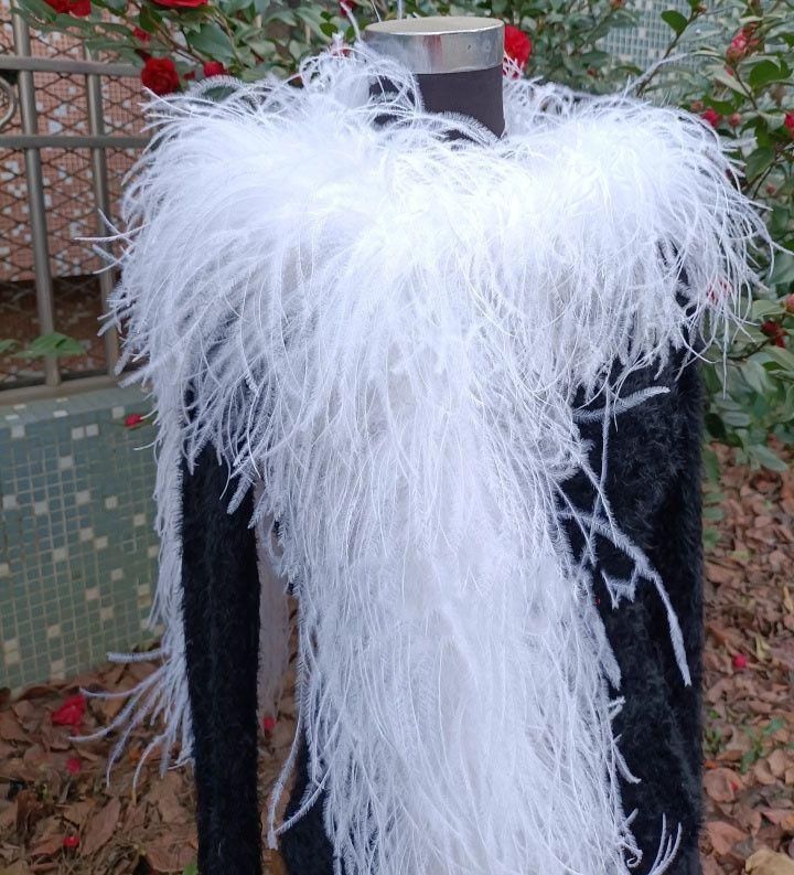 オーストリッチフロート 羽根 社交ダンス DIY オーダーメイド