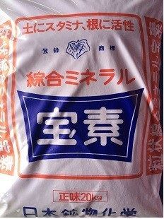 令和6年