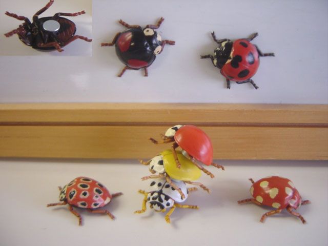 ♯Hri27ITネイチャーMONOテントウムシストラップマグネット14種