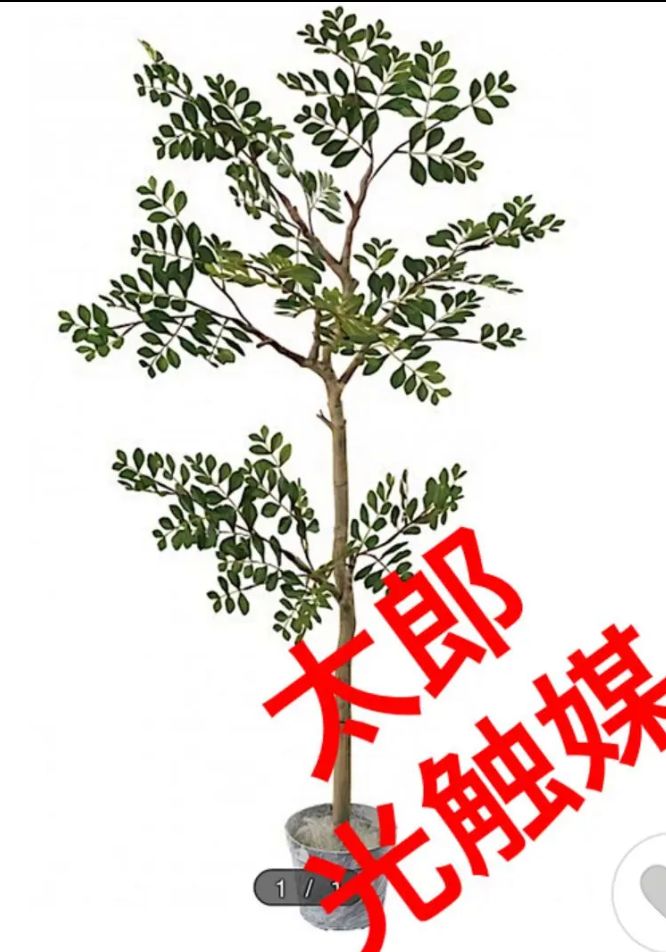 光触媒 人工観葉植物 ウォールグリーン フェイク アレンジ トネリコ