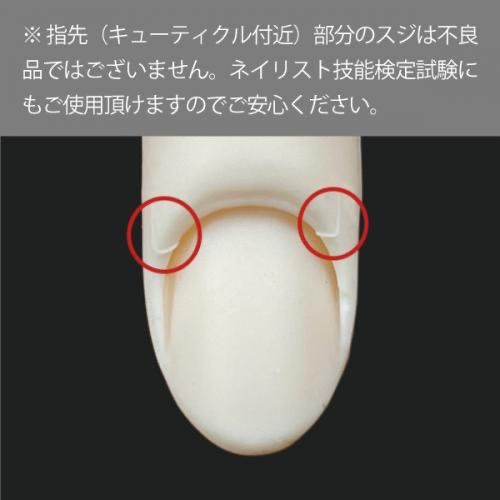STモデルハンド