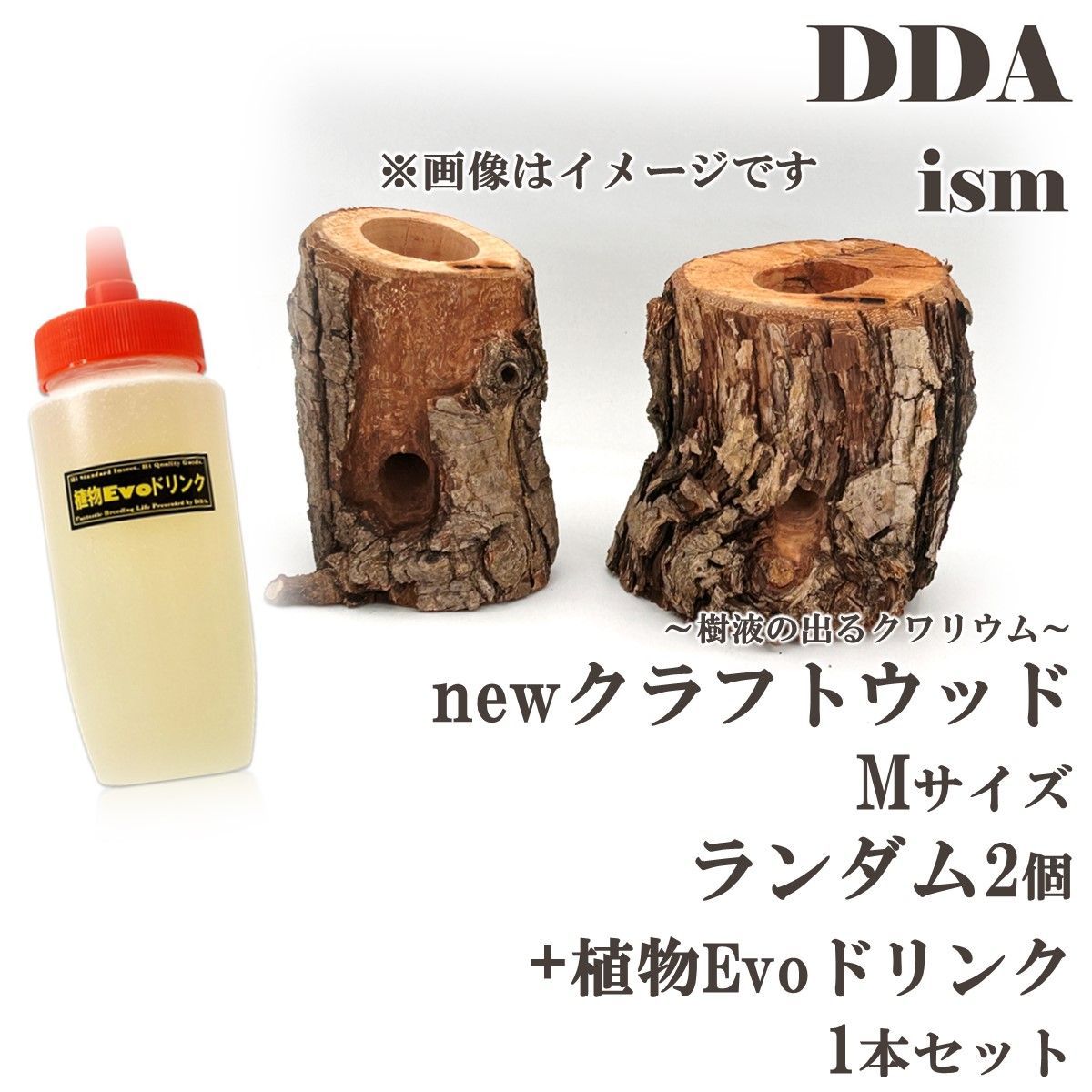 【DDA】樹液の出るクワリウム newクラフトウッド Mサイズ ランダム2個セット +植物Evoドリンク 1本セット dda クワガタ カブトムシ えさ皿 止まり木 登り木 クワガタゼリー カブトムシゼリー 昆虫ゼリー クワリウム