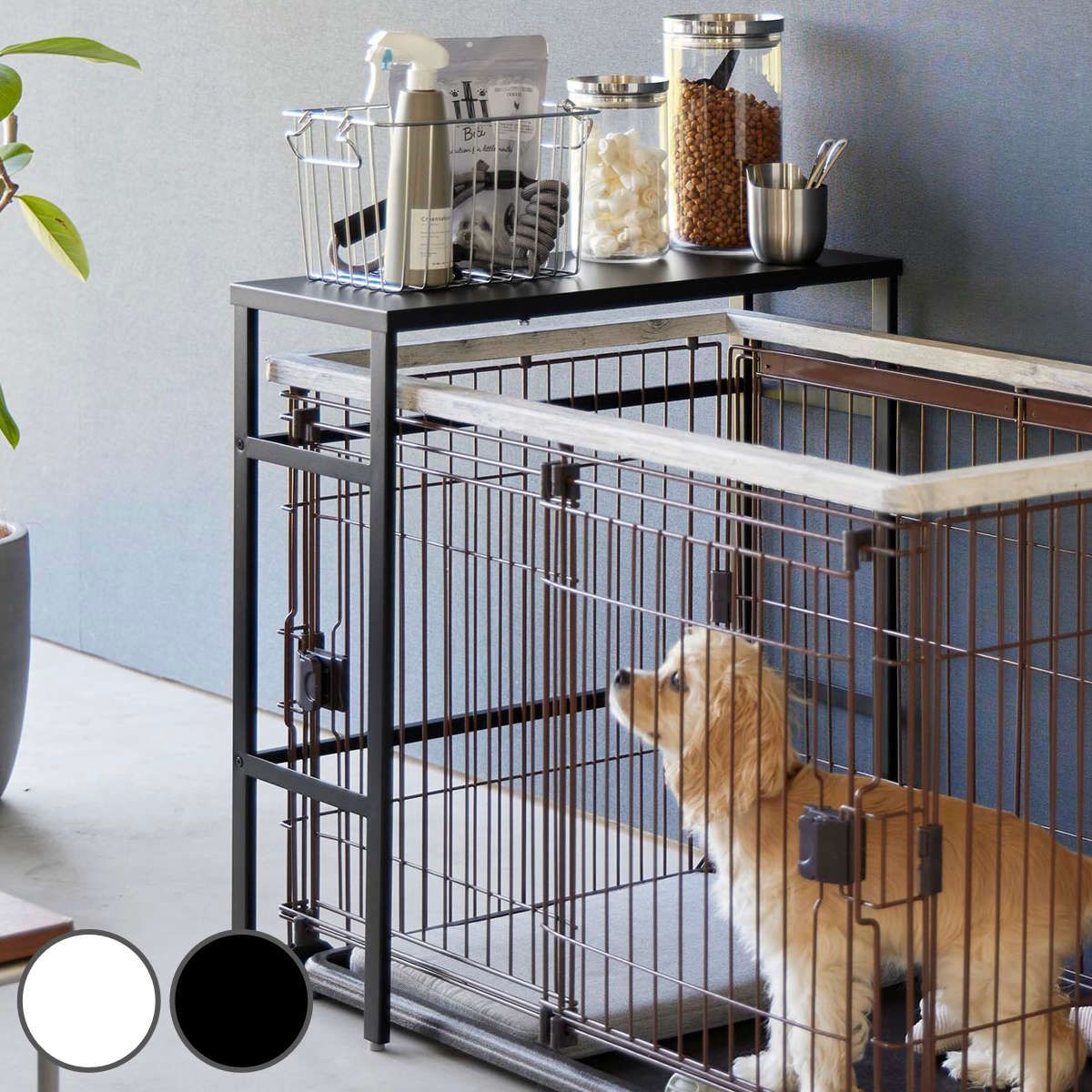 爬虫類ケージ 90×45×45 サイドアクリル仕様 ケージ 爬虫類 ペット