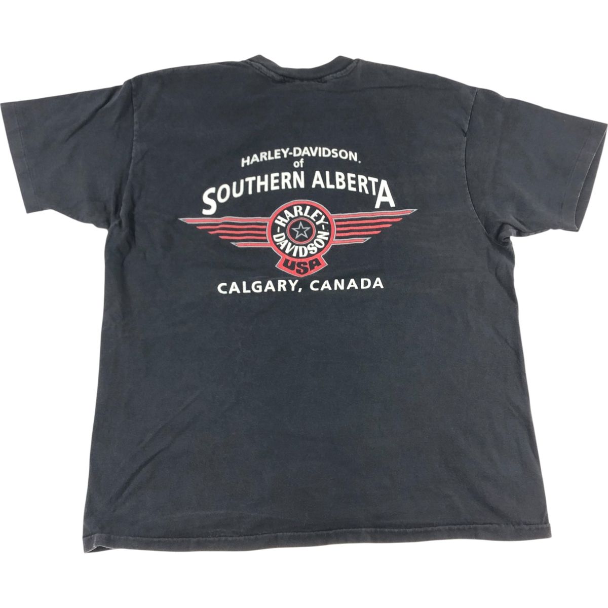 古着 ~90年代 ハーレーダビッドソン Harley-Davidson Hanes BEEFY-T 