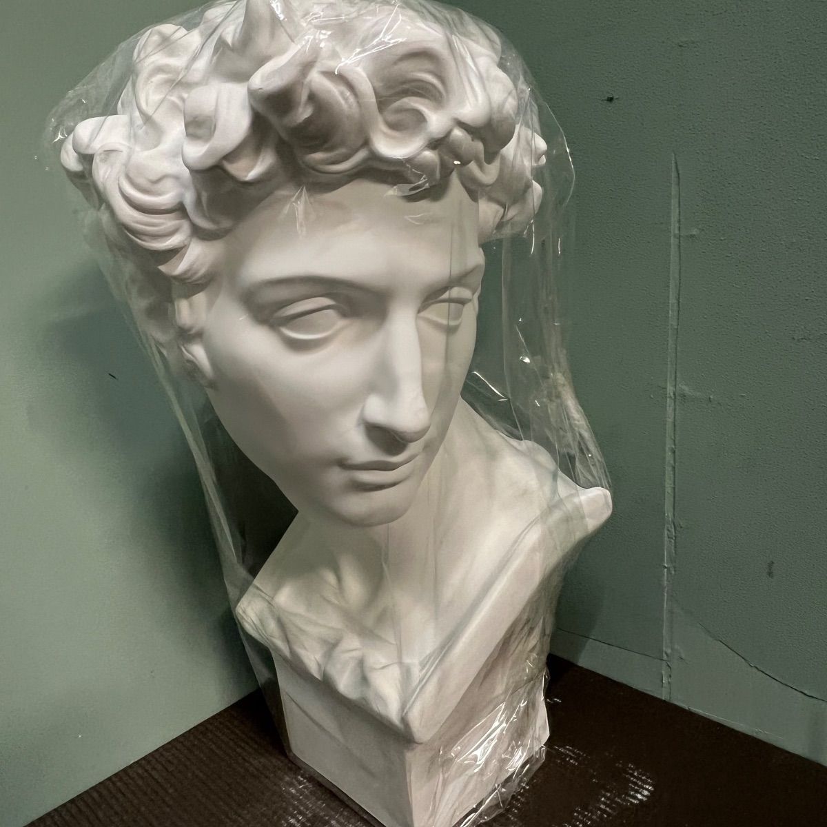 ショップ ⭐︎ 美術 石膏像 胸像 美術 彫刻 デッサン メディチ 石膏