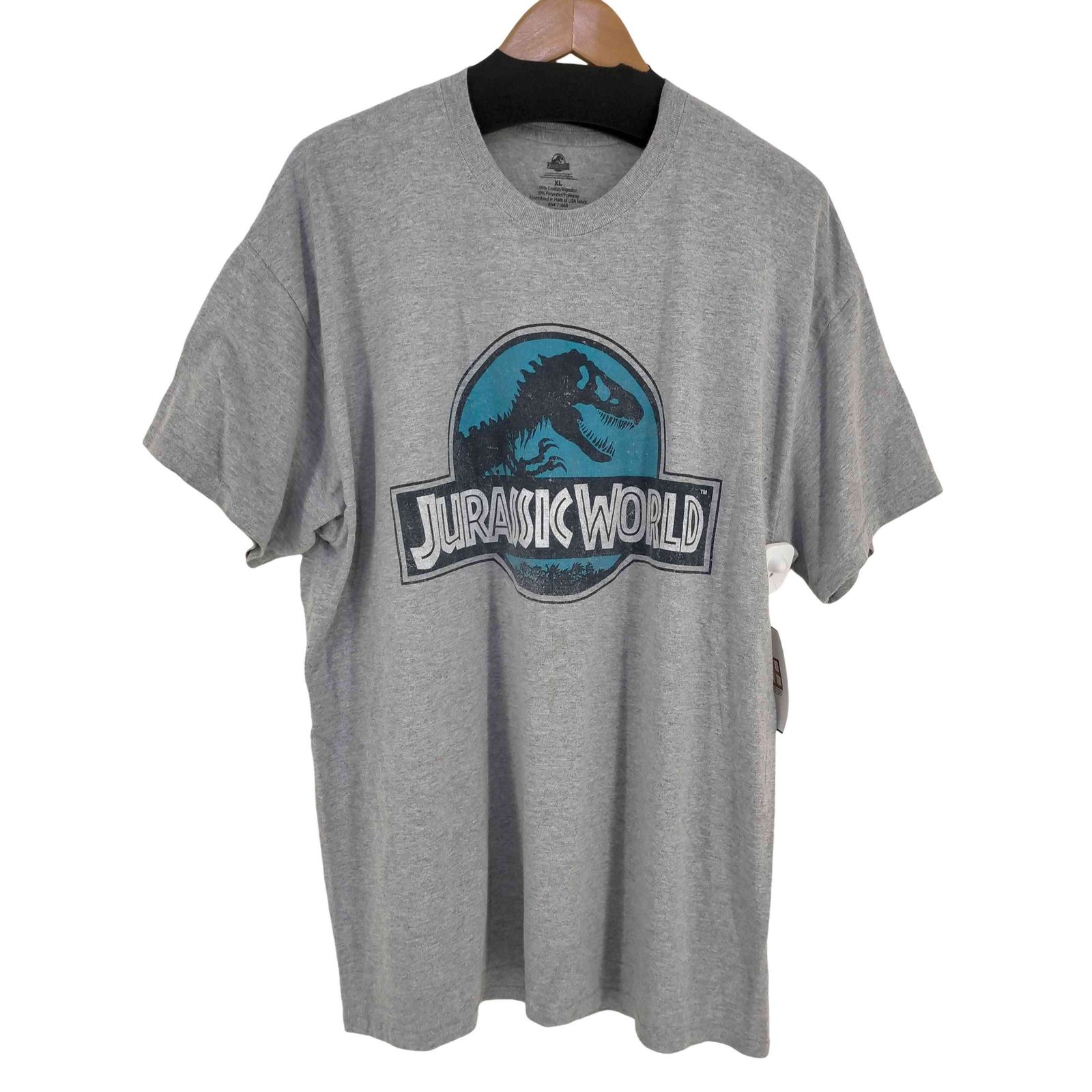 ユーズドフルギ USED古着 00s フロントロゴTシャツ ダイナソー メンズ import：XL 