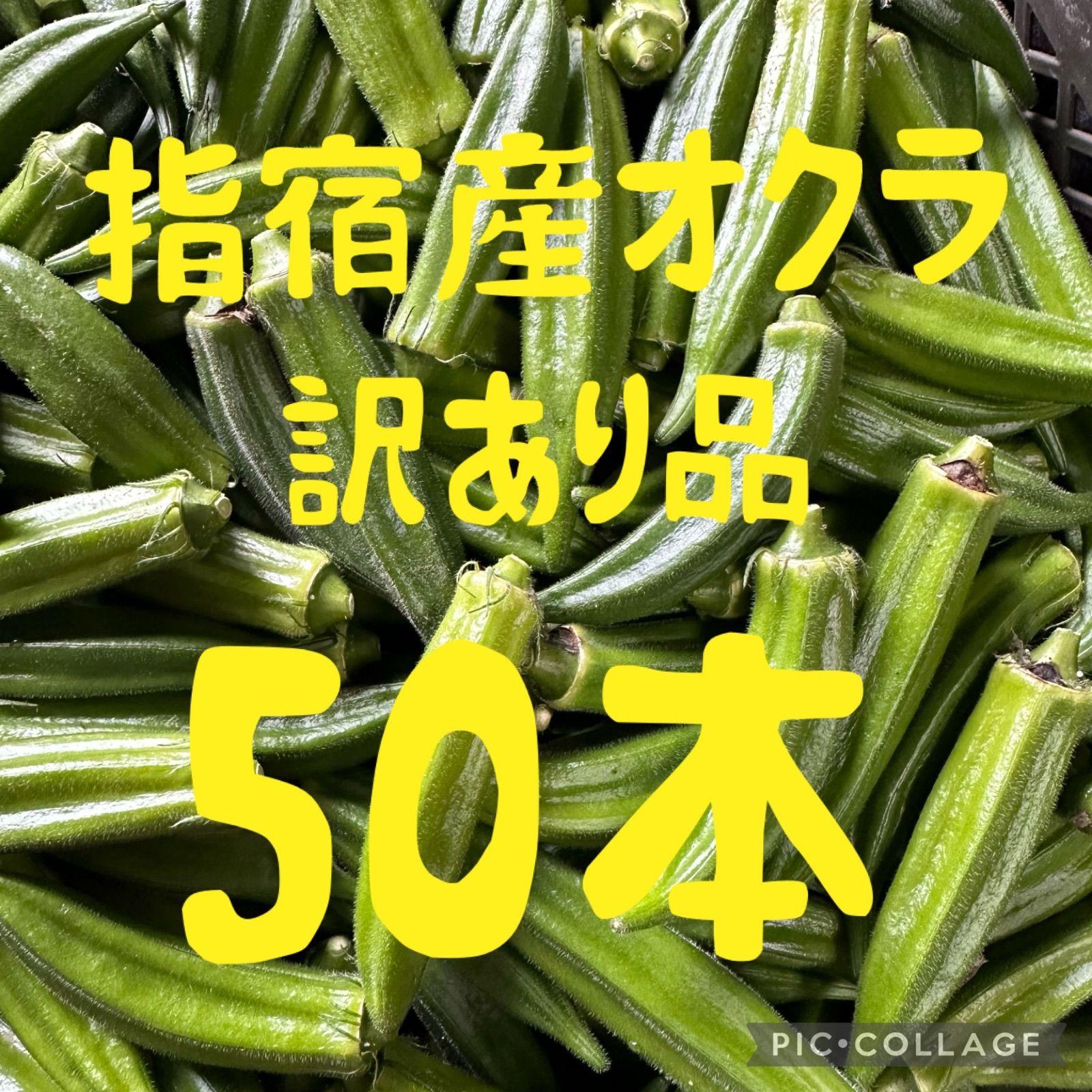 オクラ50本 ショップにて販売中！