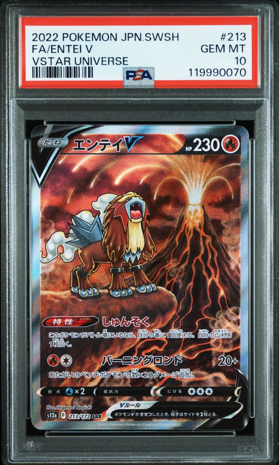 エンテイV＆スイクンV 213/172 215/172 S12a PSA10 ポケモン