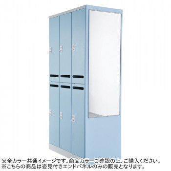 豊國工業 姿見エンドパネルシングル RLK-MPS-TW