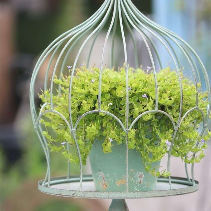 フラワースタンド 鉄製 鳥かご ガーデニング 庭 ヴィンテージ調