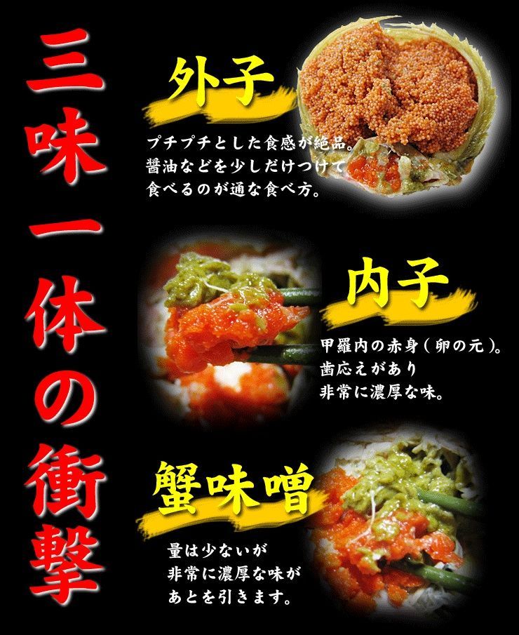 ☆活(生)セコガニ(親がに)訳あり【11月中旬～下旬以降出荷(90日以内に発送)】活(生)でお届け【冷蔵】大サイズ(180g程度が5枚入)蟹かにカニズワイガニ生1805
