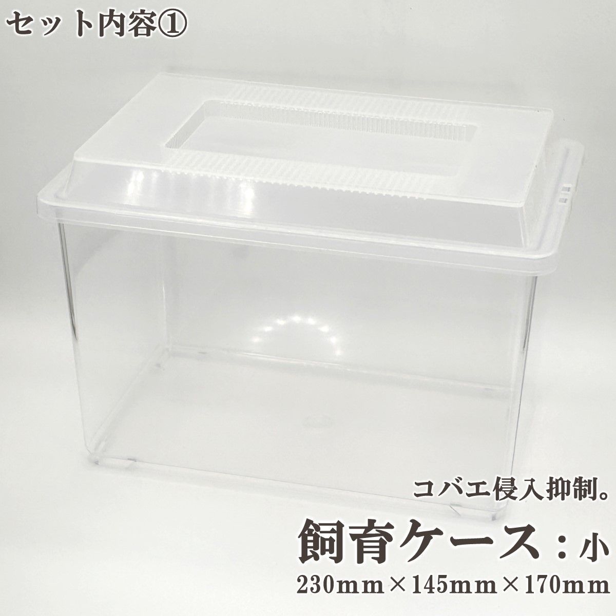 5点フルセット／ 産卵マニュアル付き！【DDA】クワガタ産卵Bセット