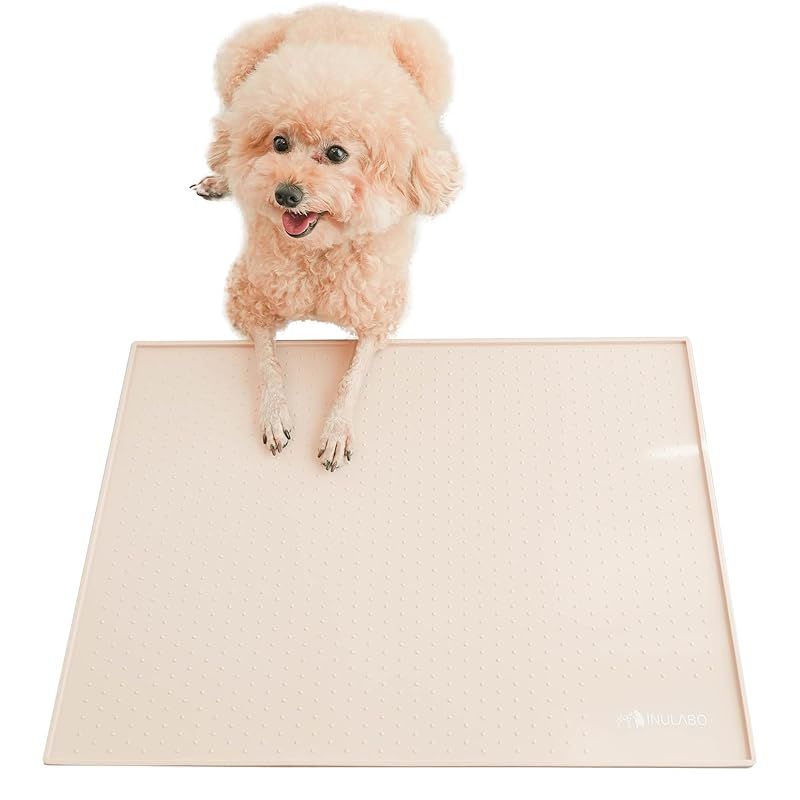 マツモトヨーコ ドローイング 絵画 朝顔 ハガキサイズ