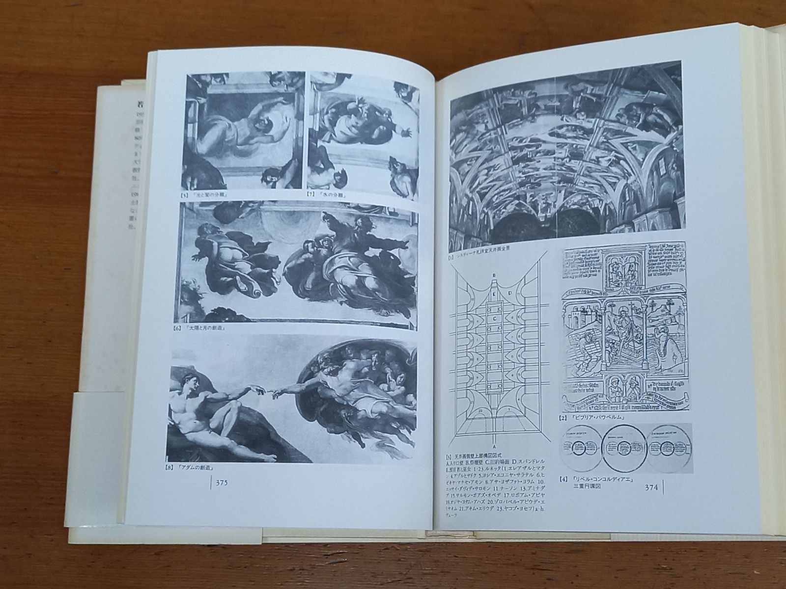 光彩の絵画 ミケランジェロのシスティ-ナ礼拝堂天井画の図像解釈 /哲学書房/若桑みどり（単行本） 中古 ミケランジェロ 「システィーナ礼拝堂天井画（アダムの創造