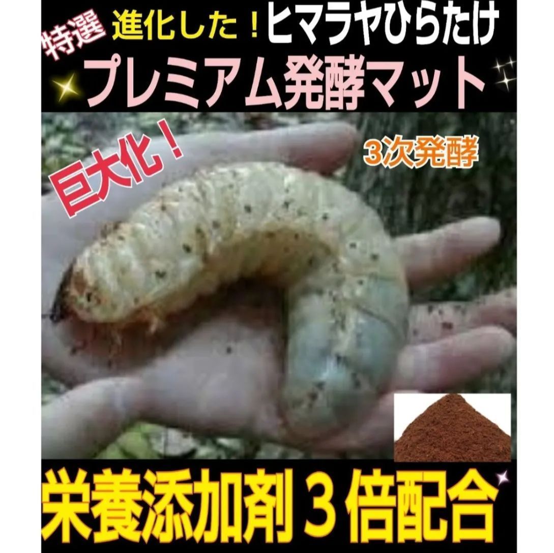 大人気！雑虫がわかない！完全室内製造！極上！プレミアム発酵