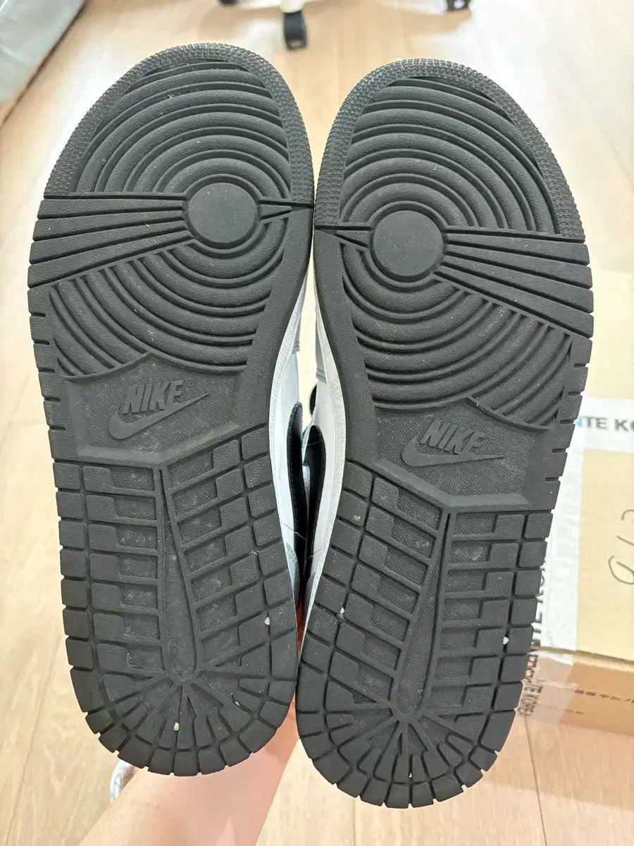 スモーク グレー