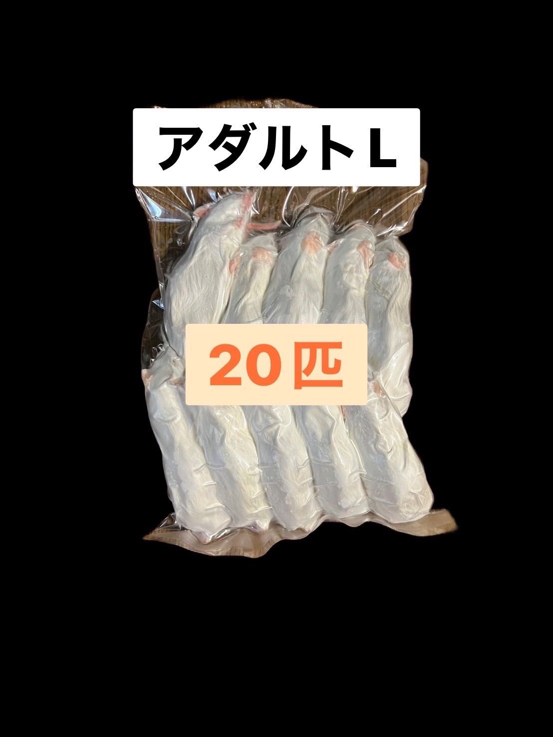 国産冷凍アダルトマウスL 20匹　送料込　即発送　同梱可