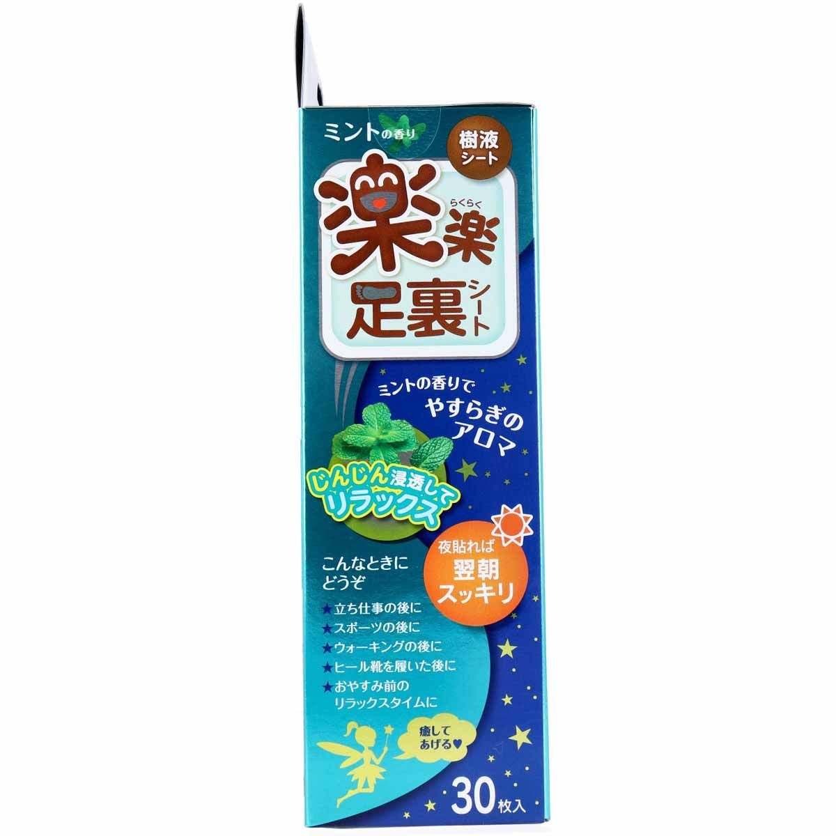 30枚入