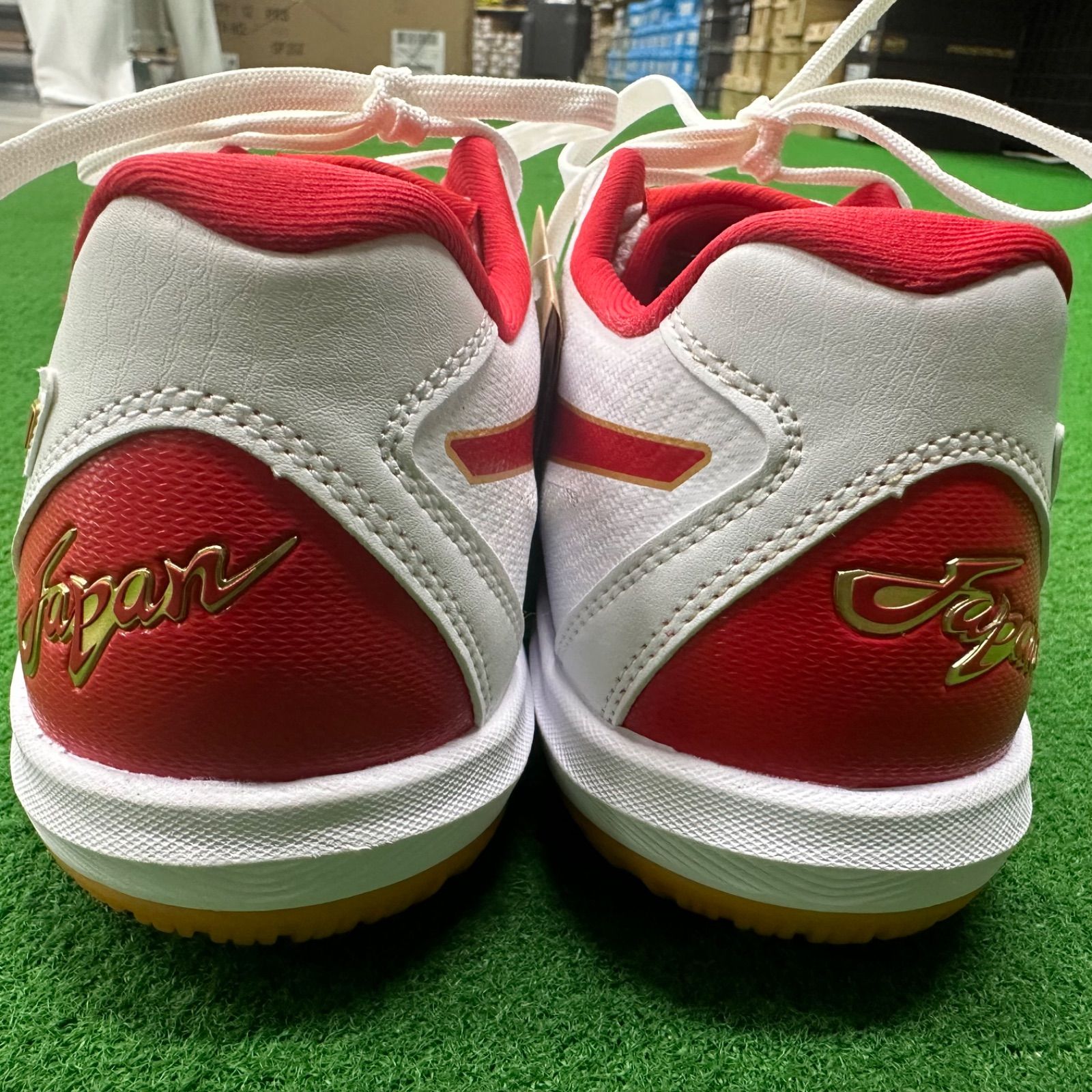 asics バレーボールシューズ ローテジャパンROTE JAPAN LYTE アシックス（ASICS）（メンズ、レディース）バレーボール