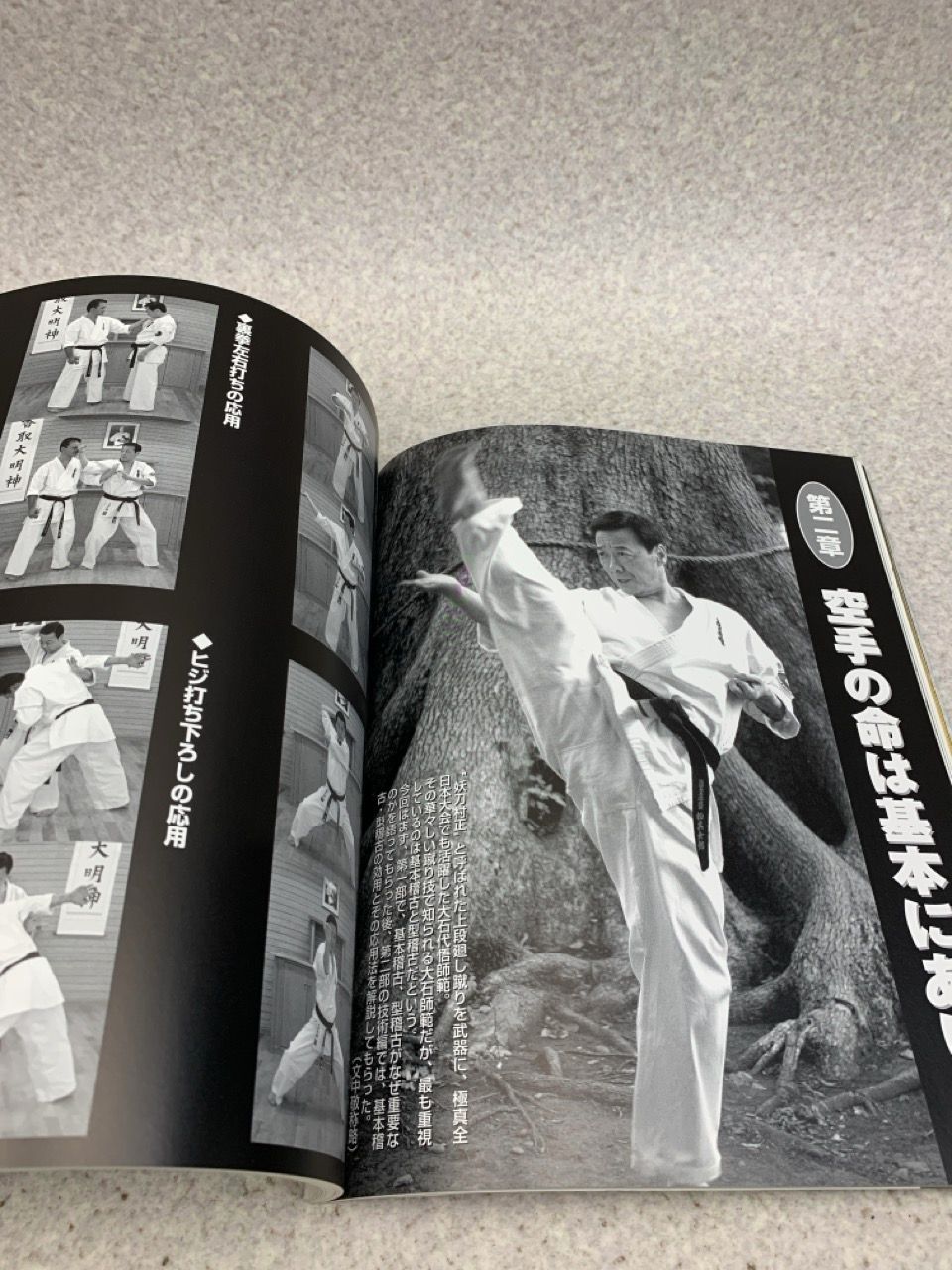 極真空手 大石代悟 練達への道 月刊フルコンタクトKARATE4月号別冊 2008年 - メルカリ