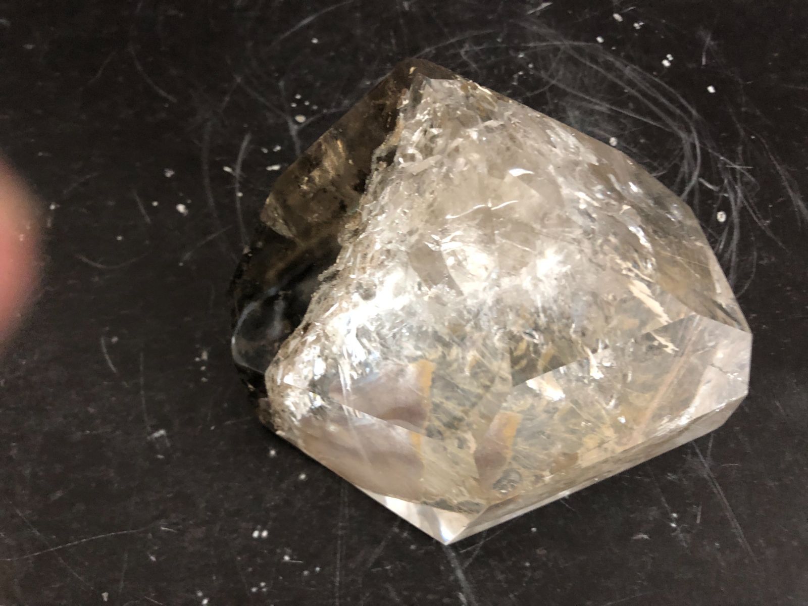 ガーデンルチルポイント ブラジル産